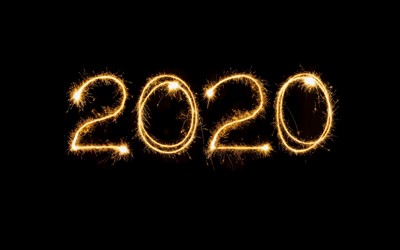 Året som gick 2020